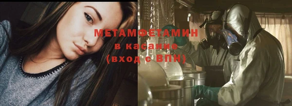 сатива Михайловка