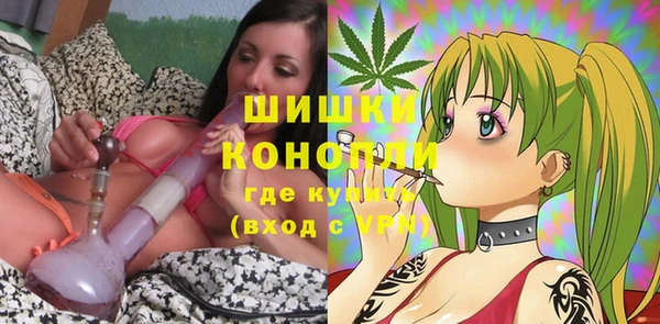 сатива Михайловка