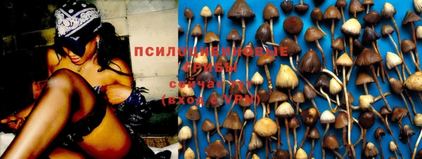 прущие крисы Михайлов