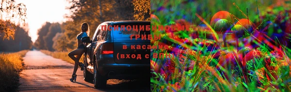 ешки Михайловск