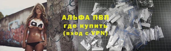 сатива Михайловка