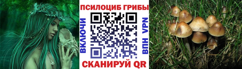 Псилоцибиновые грибы MAGIC MUSHROOMS купить наркотик Куровское